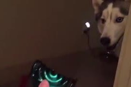 主人调教视频国产,从调教视频看国产崛起之路