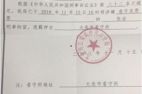 浮力影院国产限制,探索限制与创新的边界