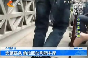 国产黄毛片,揭秘我国影视产业的独特魅力与挑战